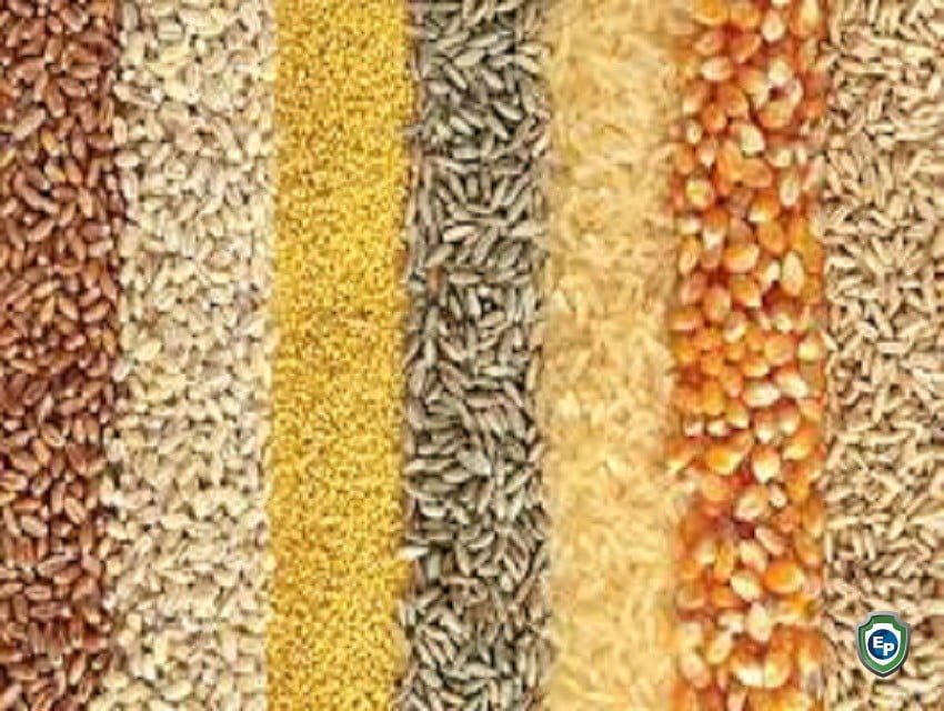 Prices Of Staples Projected To Increase In 2024 AgroNigeria   STAPLES 